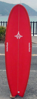 09wf65-6fin