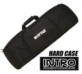 introcase2