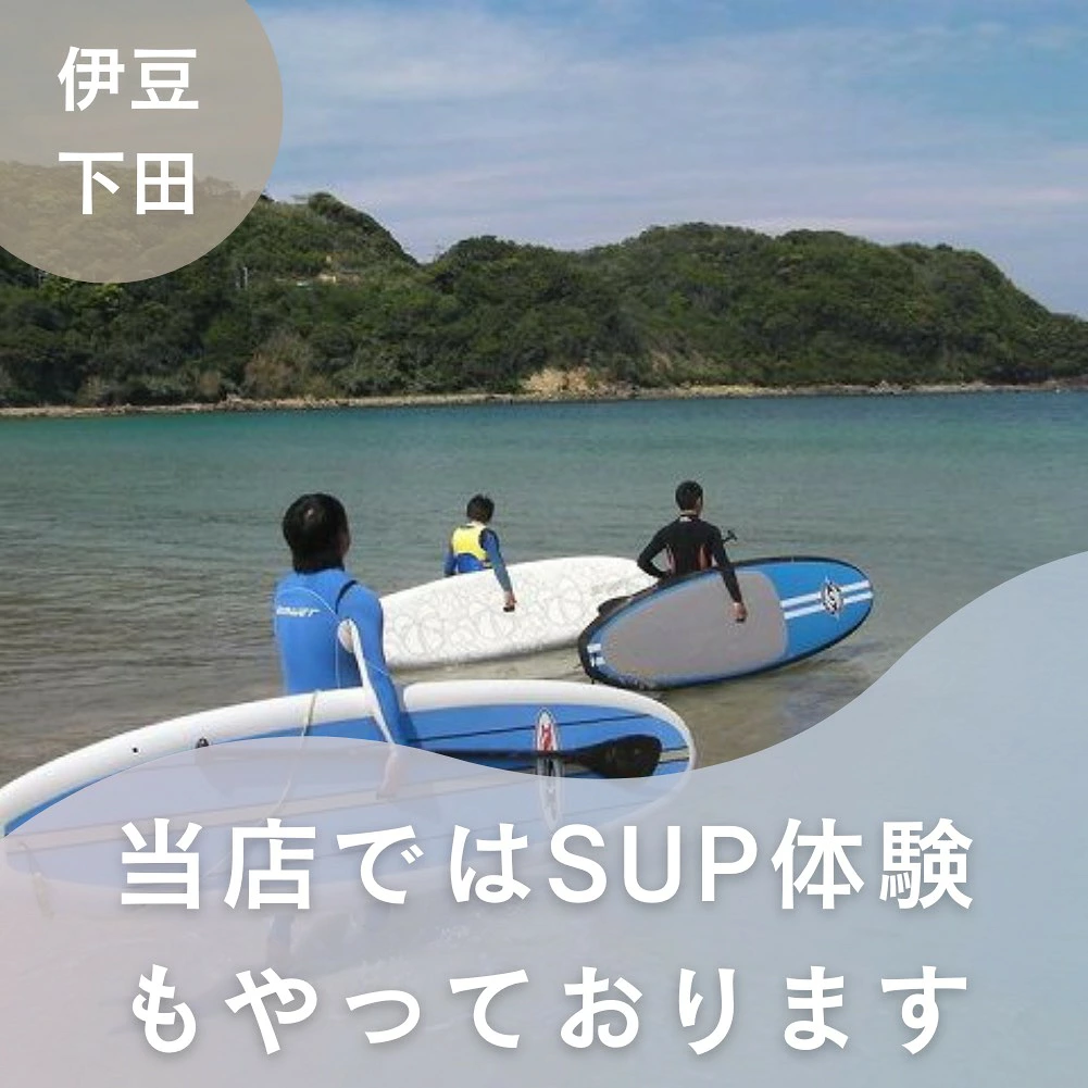 スタンドアップパドルボード ビーチクロス 10'0